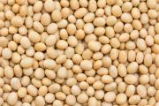 被忽视的“降压食物”！研究发现：每天吃够量，高血压风险降低