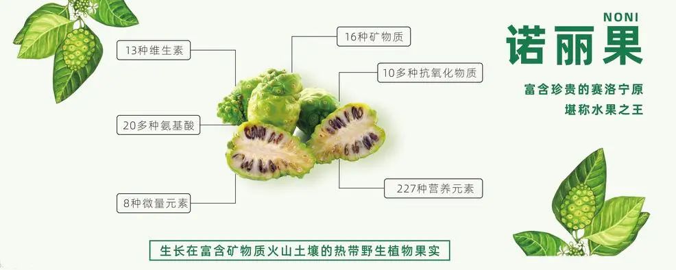 美乐家诺丽复合果汁