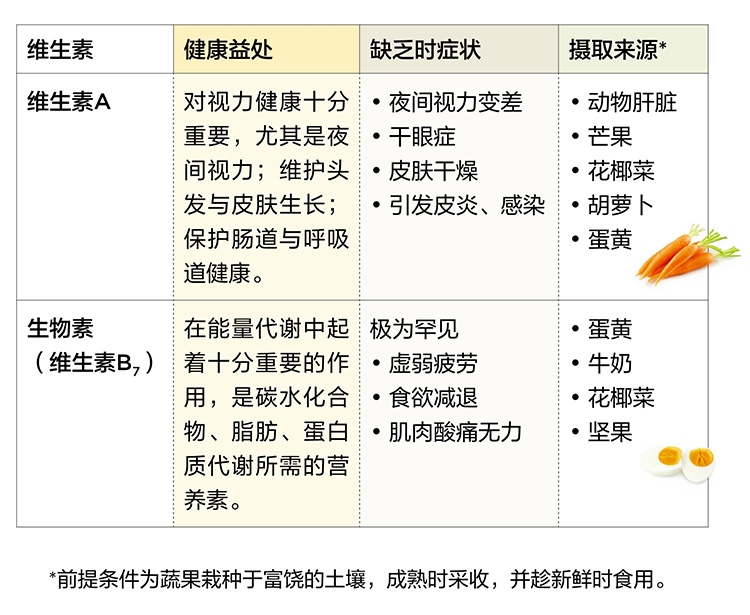 美乐家生命活力营养宝典-维生素与矿物质