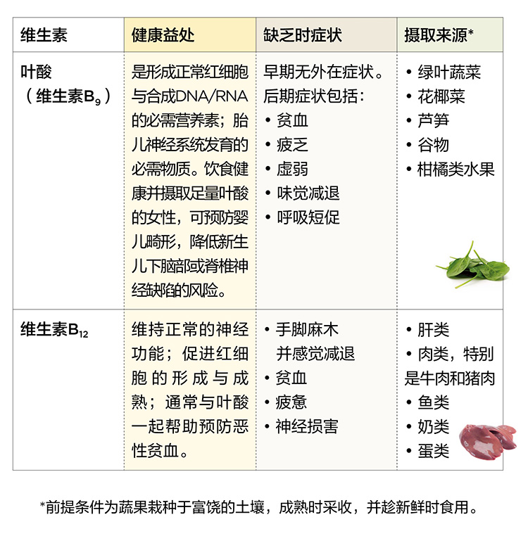 美乐家生命活力营养宝典-维生素与矿物质