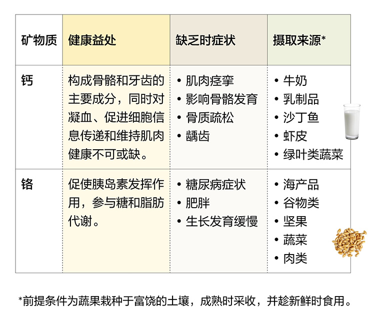 美乐家生命活力营养宝典-维生素与矿物质