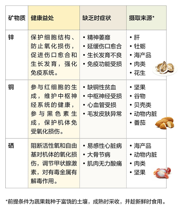 美乐家生命活力营养宝典-维生素与矿物质