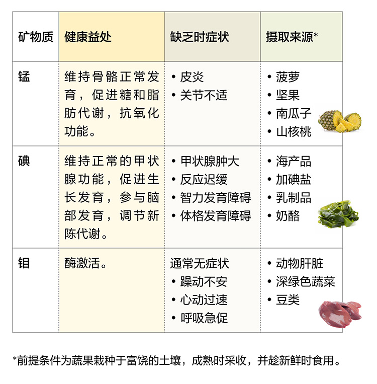 美乐家生命活力营养宝典-维生素与矿物质