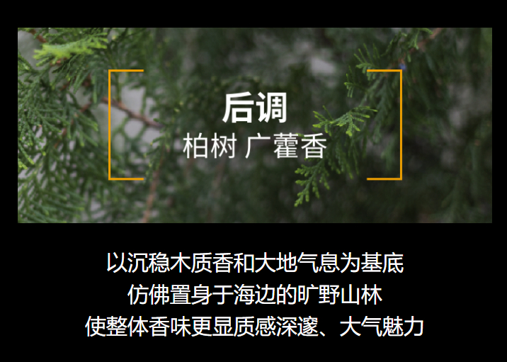 美乐家亚洛伊奢华洁肤皂