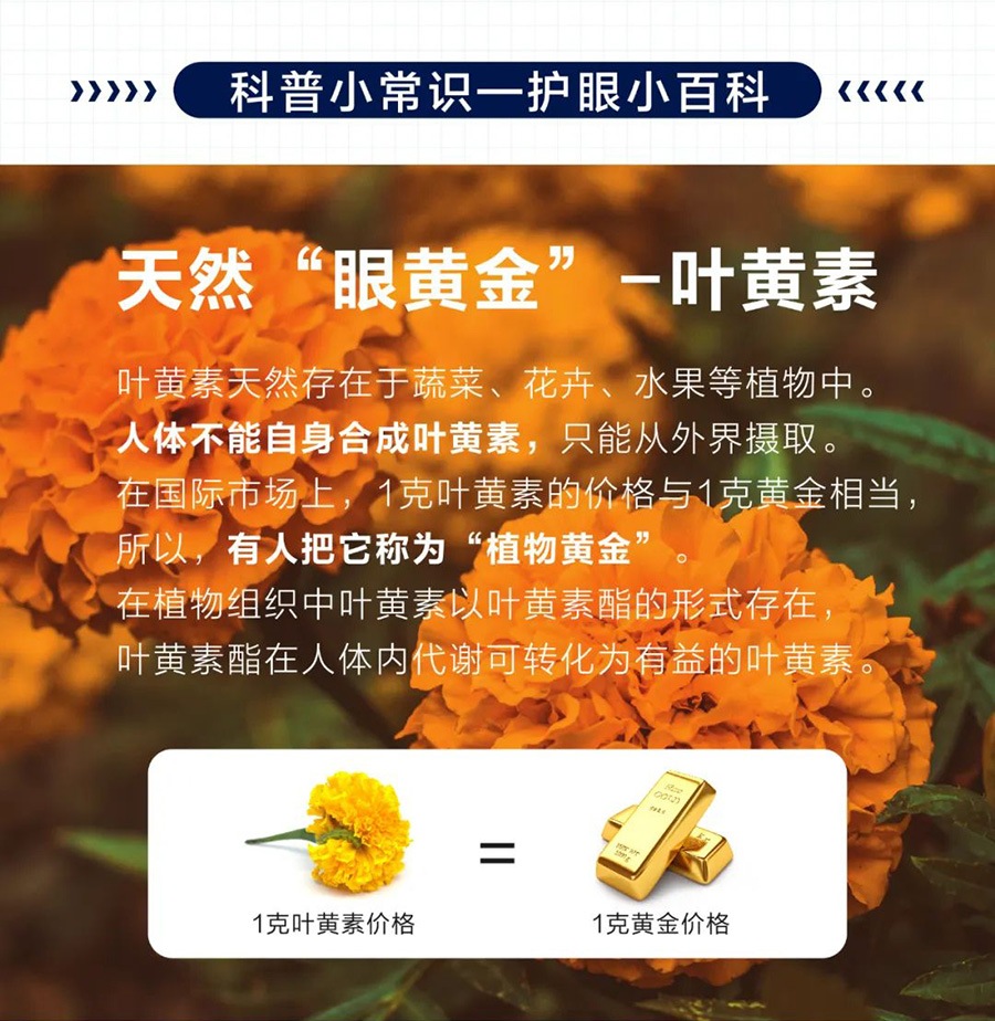 美乐家观适健蓝莓压片糖果