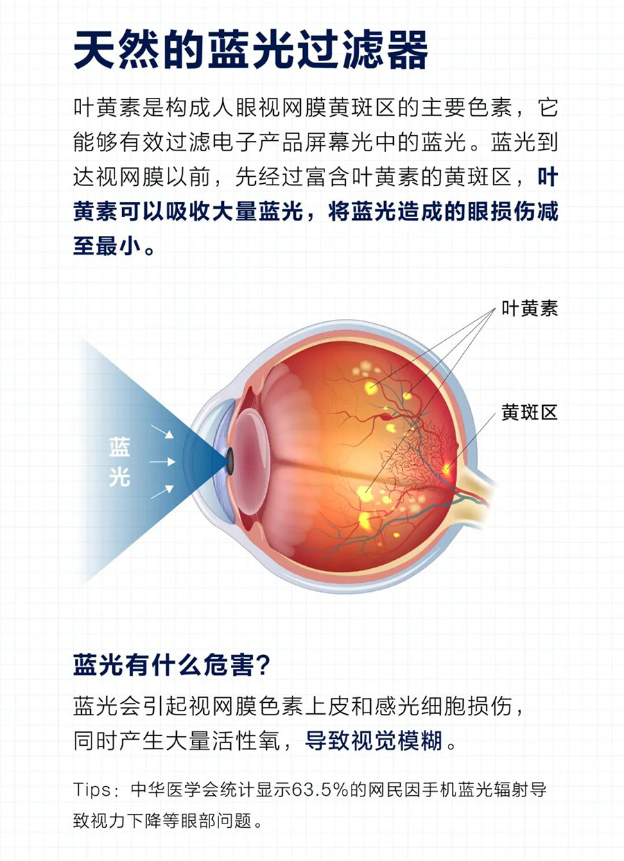 美乐家观适健蓝莓压片糖果