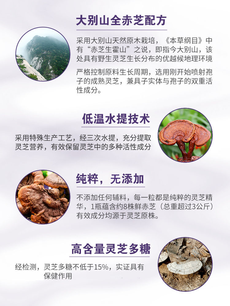 美乐家灵芝胶囊,调节免疫力,增强抵抗力 美乐家灵芝胶囊,调节免疫力,增强抵抗力