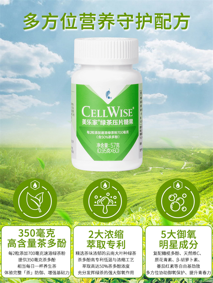 美乐家绿茶压片糖果 美乐家绿茶压片糖果