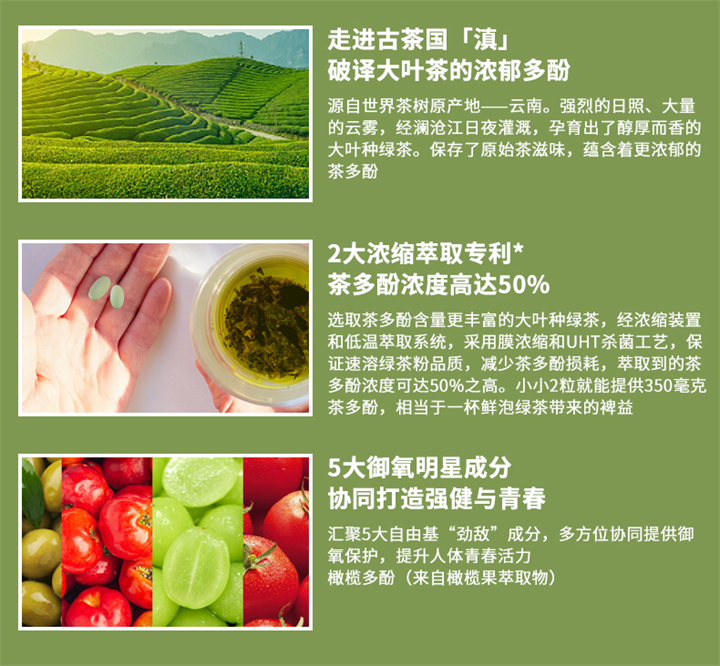 美乐家绿茶压片糖果 美乐家绿茶压片糖果