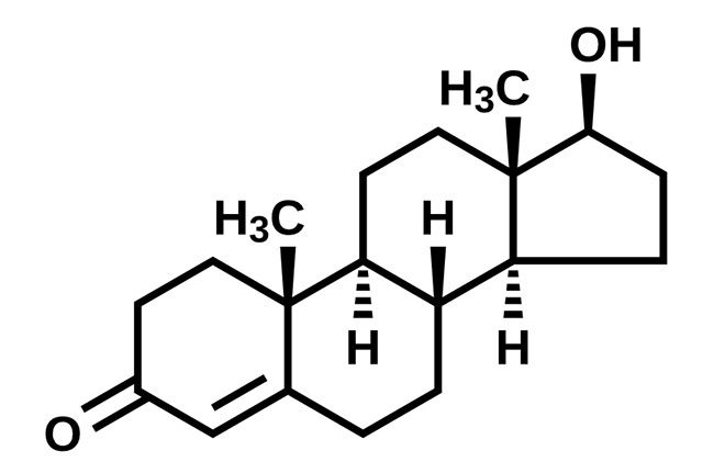 19.jpg