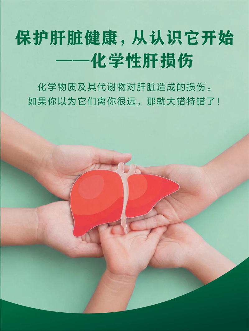 灵芝五味子护肝必需品