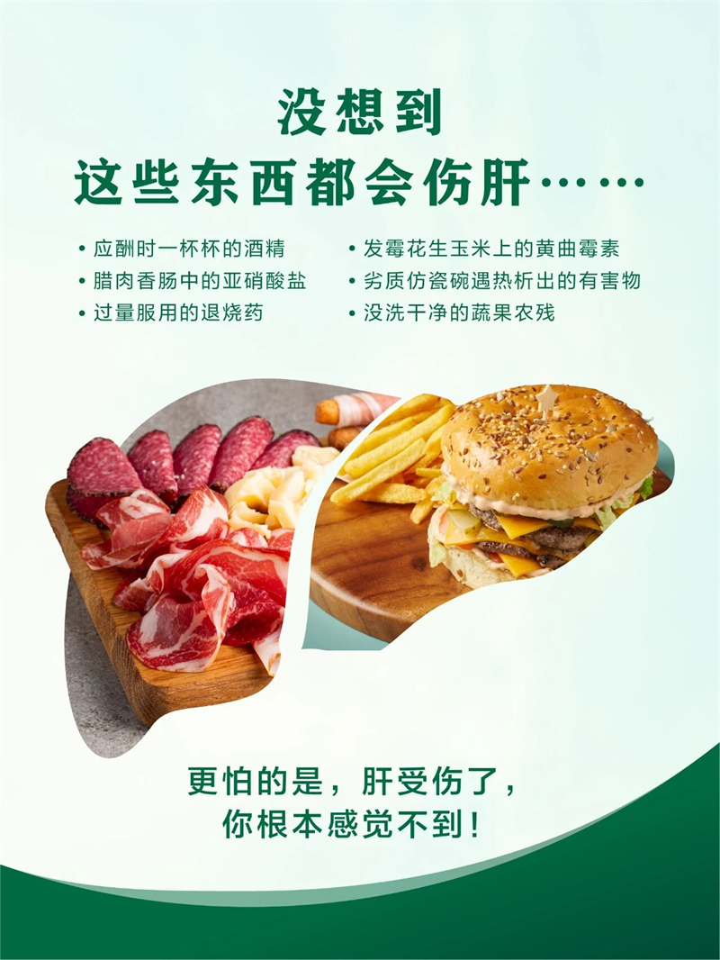灵芝五味子护肝必需品