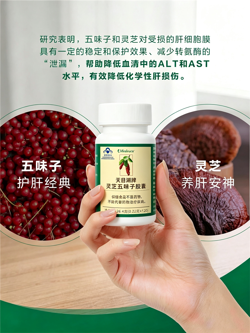 灵芝五味子护肝必需品