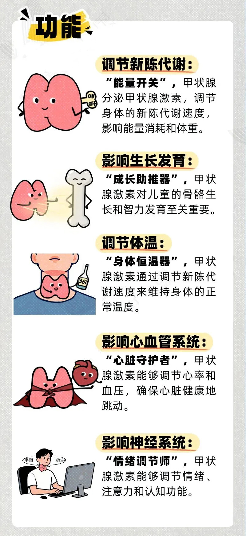 科学养护甲状腺健康，从这些常识开始